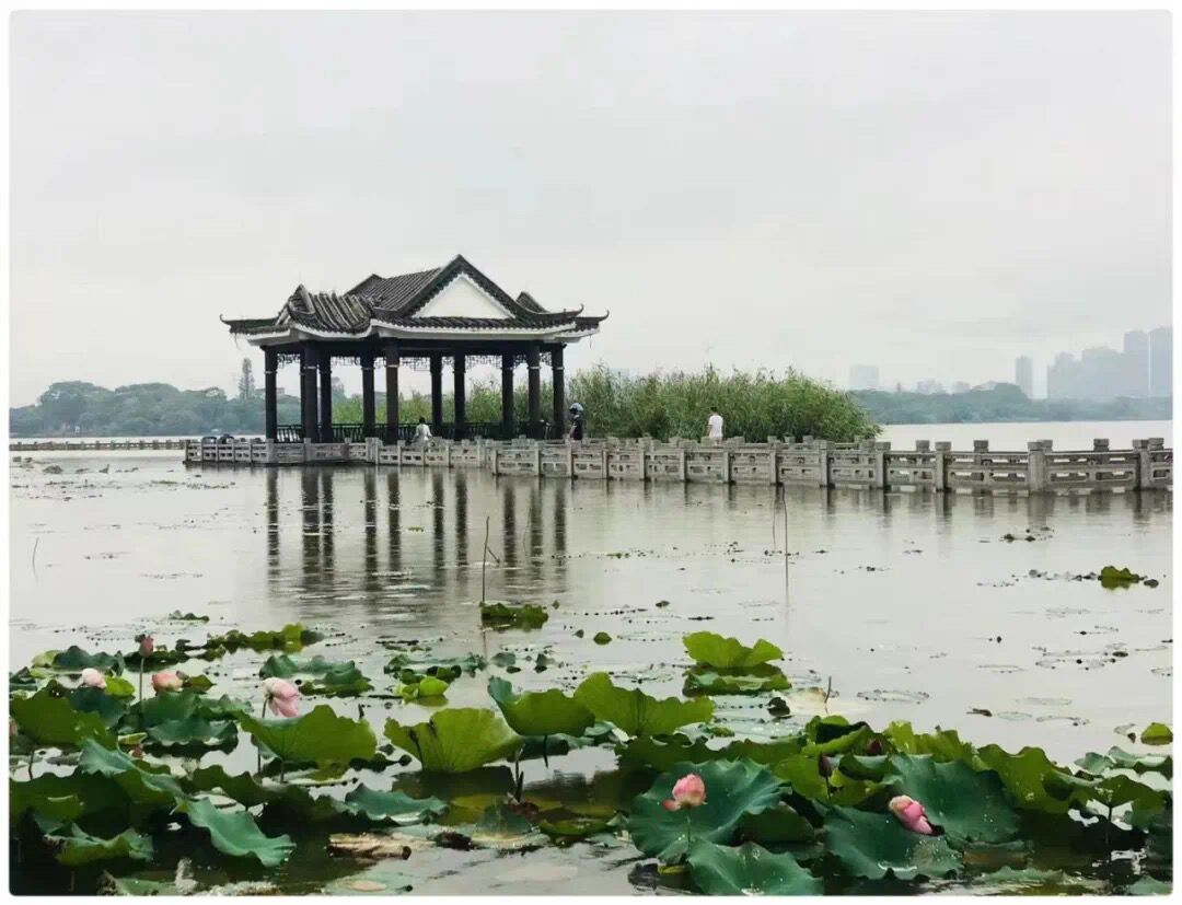QQ图片20220718101305.jpg
