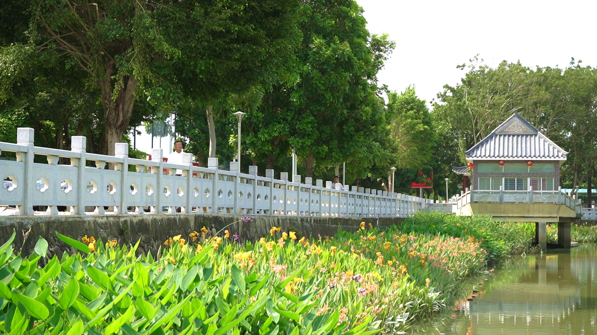 麻涌镇麻涌墟水系碧道 (32).jpg