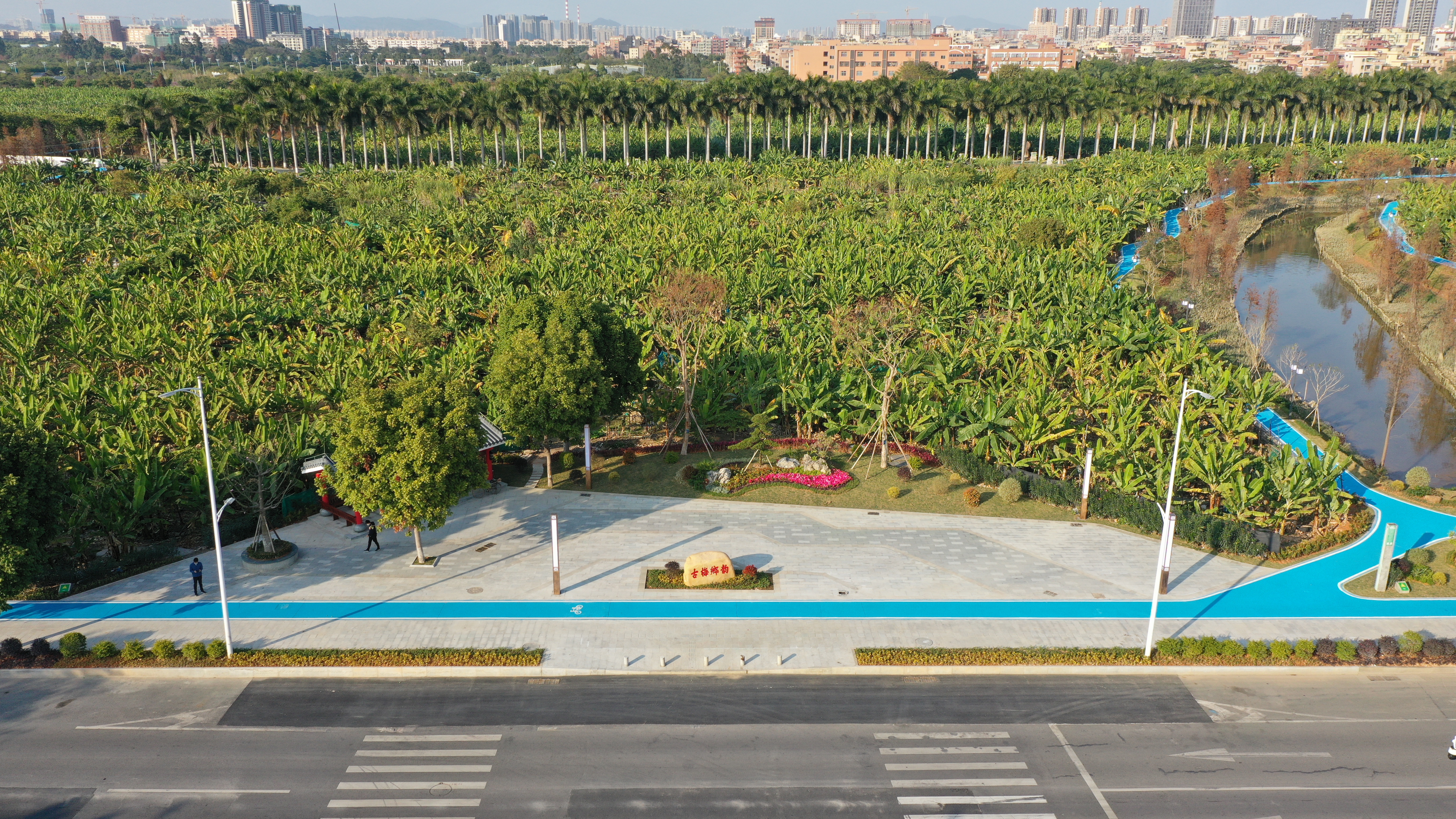 麻涌镇麻涌墟水系碧道 (12).JPG