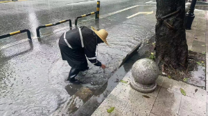 莞城2.jpg